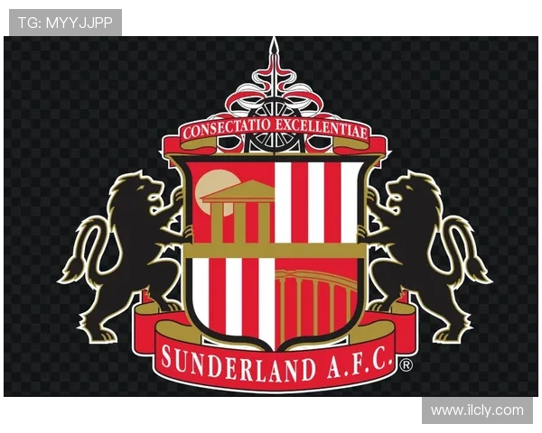 桑德兰俱乐部：重返英超之路的挑战与机遇分析