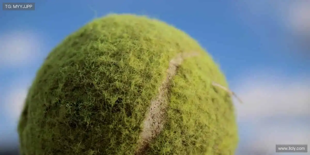 🏆点燃赛场热血，见证巅峰对决！